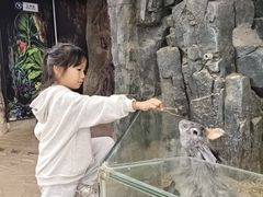 -正佳雨林生态植物园