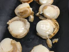 -拾下卜卜贝•海鲜火锅