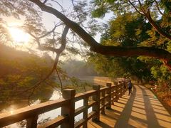 -深圳湾公园(南山区)