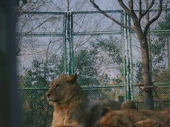 -上海野生动物园