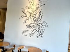 -星巴克(宝山万达店)