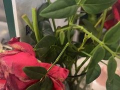 -第101座花园餐厅(湖滨88店)