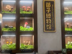 -菌自由丨野生菌火锅特色庭院餐厅(丽江古城店)