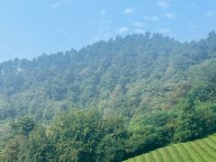 -敬亭山风景名胜区