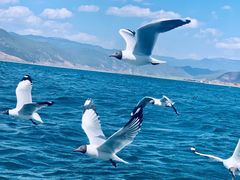 -丽江泸沽湖景区