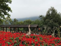 -广州市流溪河国家森林公园