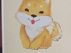 -H次元沉浸剧情密室(街道口店)