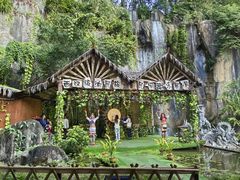 -西双版纳原始森林公园