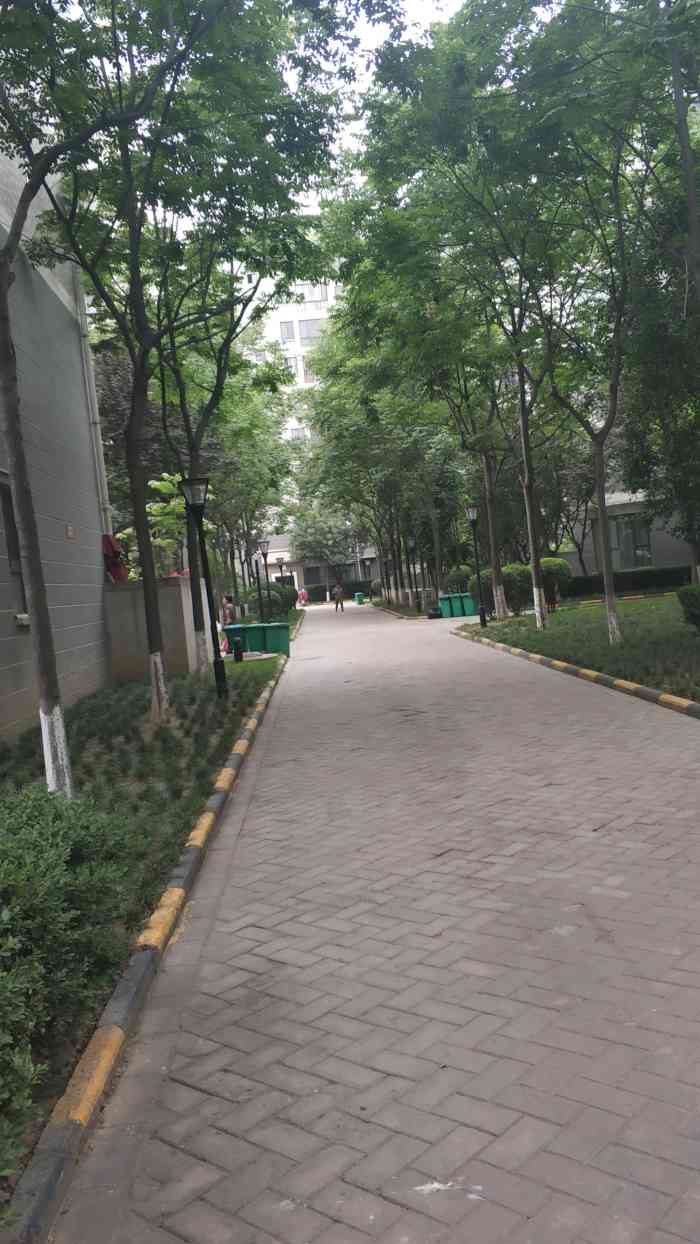 世家星城三期-"小区的环境也是不错的,也是个老小区啦,交.