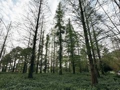 -宝岩生态观光园