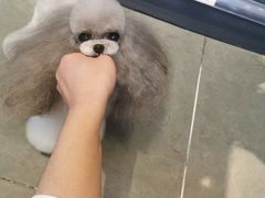 -萌兽医馆·眼科·异宠专科(三里屯店)