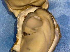 深海黄金蚝大个火锅-千岛蚝高压锅生蚝·人参火锅(白云万达店)