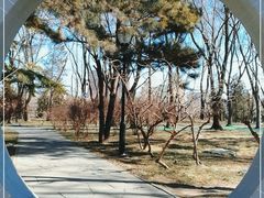 -玲珑塔公园