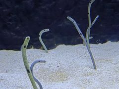 -长沙海底世界