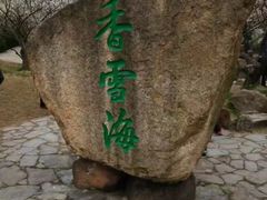 -香雪海