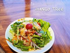 -mango tree芒果树泰国餐厅(青岛万象城店)