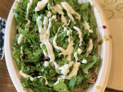 -油梨树AVOCADO TREE(顺义新国展店)