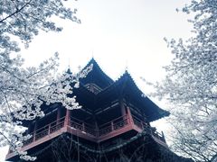 -西安青龙寺遗址景区