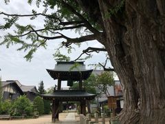-医王山·飞騨国分寺