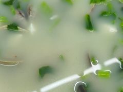 -清香海鲜餐厅(青澳湾地标美食店)