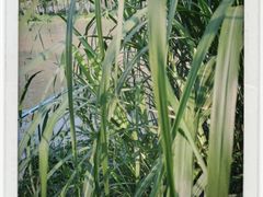 -洨河生态公园