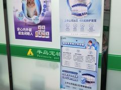 -半岛宠物医院24小时(科华中路店)