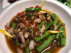 烧椒八爪鱼-雀蓝川菜(奥体广场店)