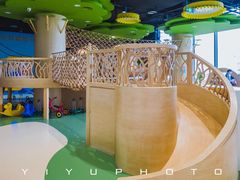 -中国宋庆龄青少年科技文化交流中心