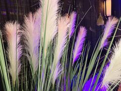 景观位-绿茶餐厅(深圳龙华天虹购物中心店)