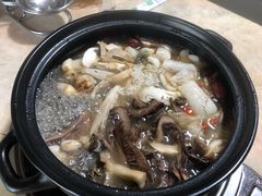 -蘑统田下·野生菌火锅