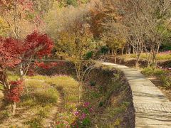 -塔川景区