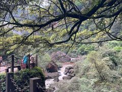 -赤水丹霞旅游区·大瀑布