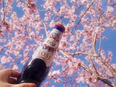 -海棠花溪(元大都城垣遗址公园)