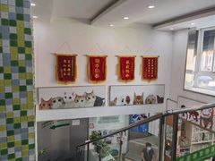 -爱侣宠医·鹦鹉专科·小型哺乳类·异宠专科(灵石路店)