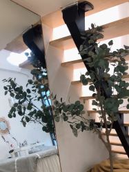 -初心纹眉洗眉·美睫专业店