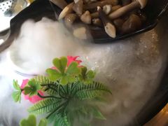 -探窝·竹笙椰子鸡(杨箕店)