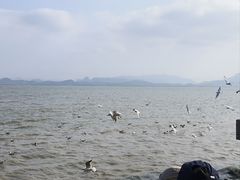 -深圳湾公园(南山区)