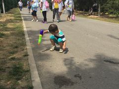 -永定河休闲森林公园