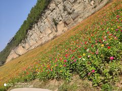 -铜川市金锁关石林