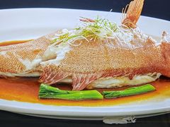 -顺峰(农展馆店)