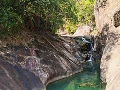 -广州白江湖森林公园