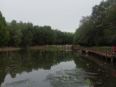 -云岗森林公园