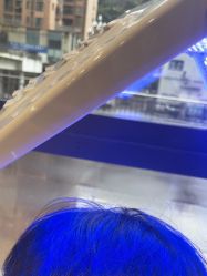 -碧莲盛·不剃发植发