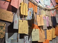 -番茄口袋(上海普陀区环球港店)