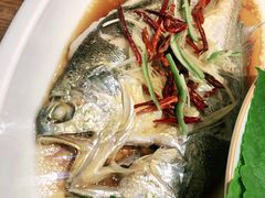 清蒸黄花鱼-青瓦餐厅·生鱼片·韩园烤肉(西塔店)
