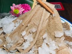 -九鼎轩脆毛肚火锅(三钢里店)
