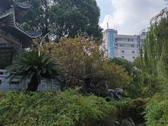 -孺子亭公园