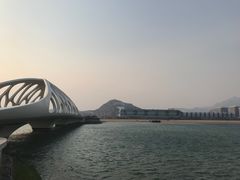 -星光岛