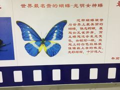 -上海昆虫博物馆