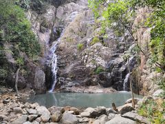 -海南霸王岭国家森林公园